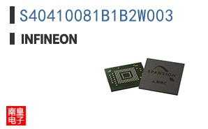 S40410081B1B2W003